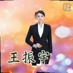 王振宇